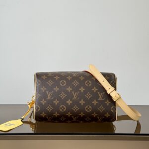 Louis Vuitton luxury handbag - authentic