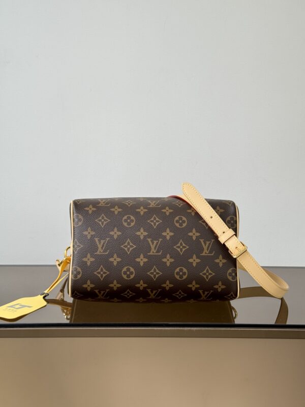 Louis Vuitton luxury handbag - authentic