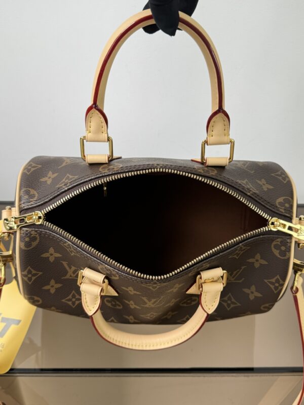 Louis Vuitton luxury handbag - authentic
