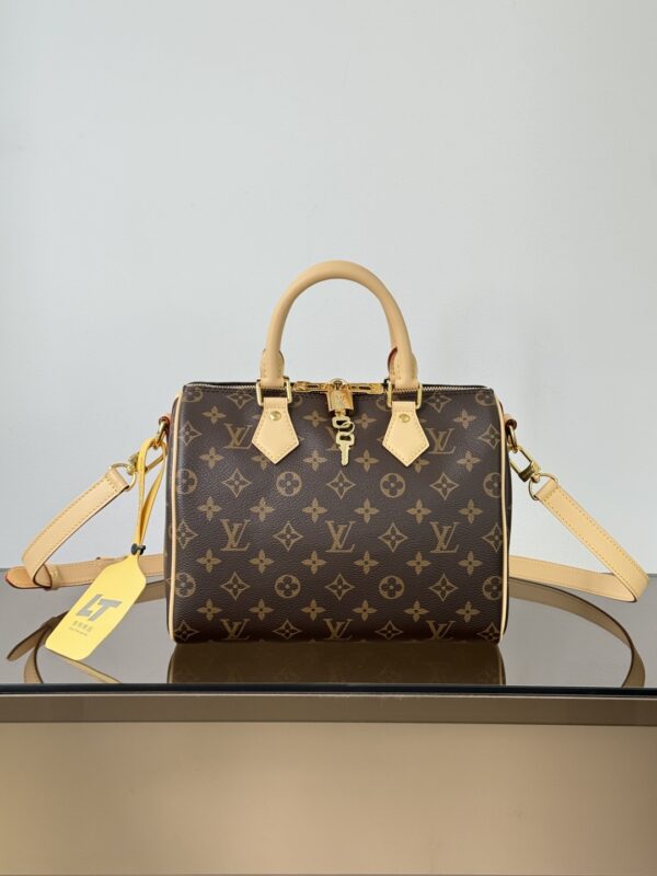 Louis Vuitton luxury handbag - authentic
