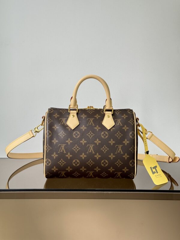 Louis Vuitton luxury handbag - authentic