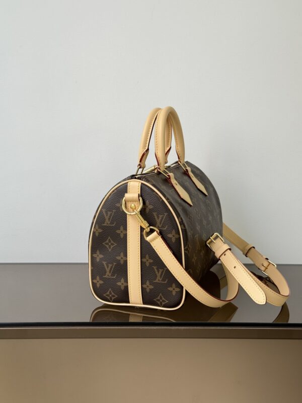 Louis Vuitton - Image 6
